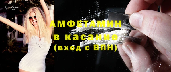 сатива Строитель