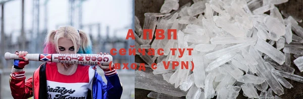 сатива Строитель