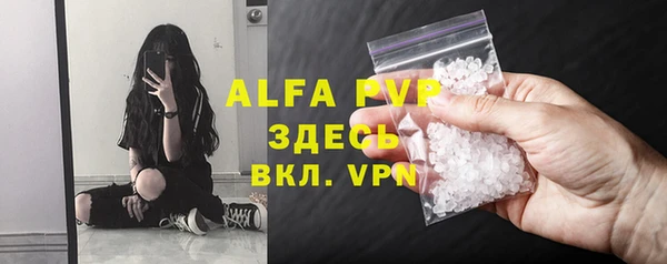 сатива Строитель