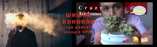 шишки Сковородино