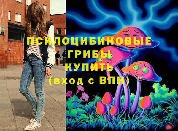 шишки Струнино