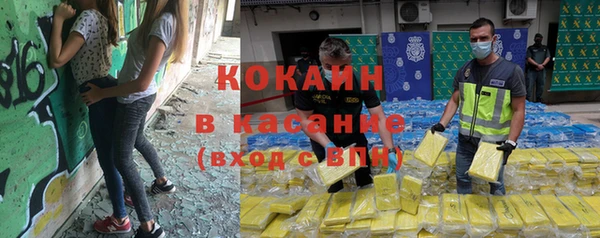 сатива Строитель