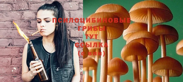 шишки Струнино