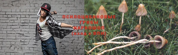 сатива Строитель