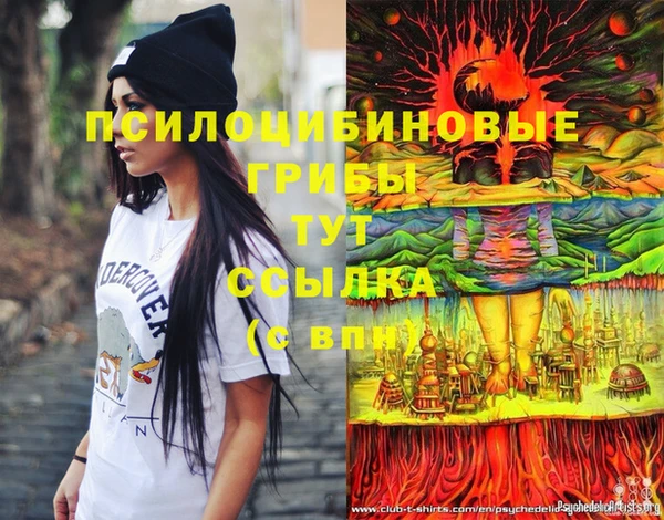 шишки Струнино